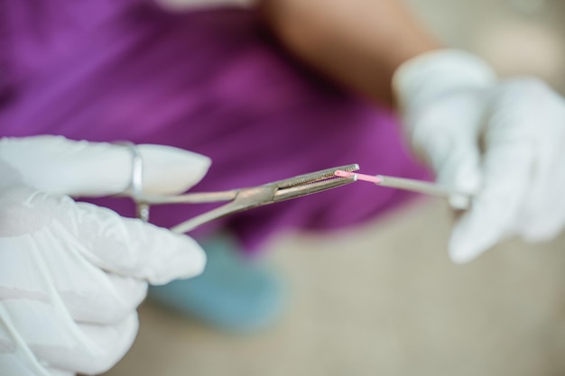 Preparare a mano gli strumenti per l'inseminazione artificiale della mucca