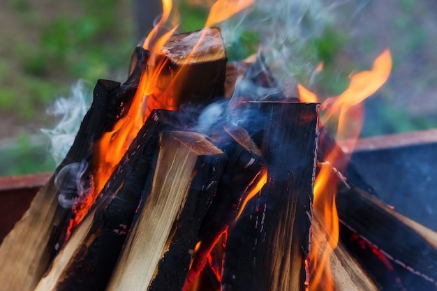 Preparare il fuoco per il barbecue