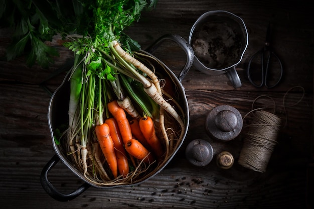 Preparato per gustoso brodo con carote prezzemolo e porro