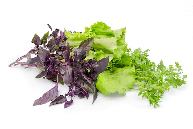 Preparato per insalata isolato su un ritaglio bianco