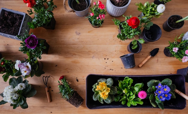 Preparazione dei fiori per la decomposizione sul balcone