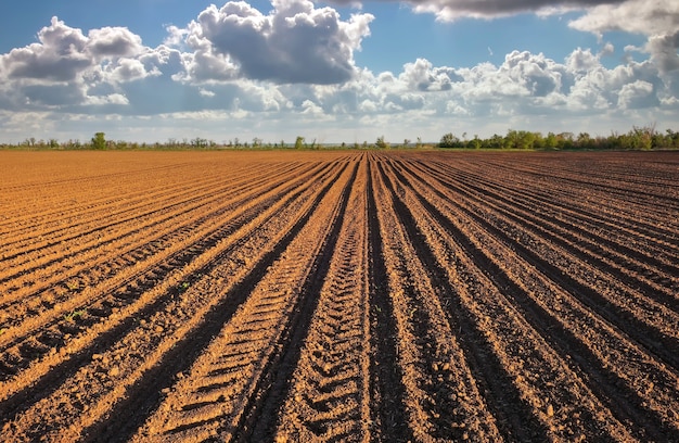 Preparazione del campo per la semina. Terreno arato in primavera con cielo nuvoloso blu.