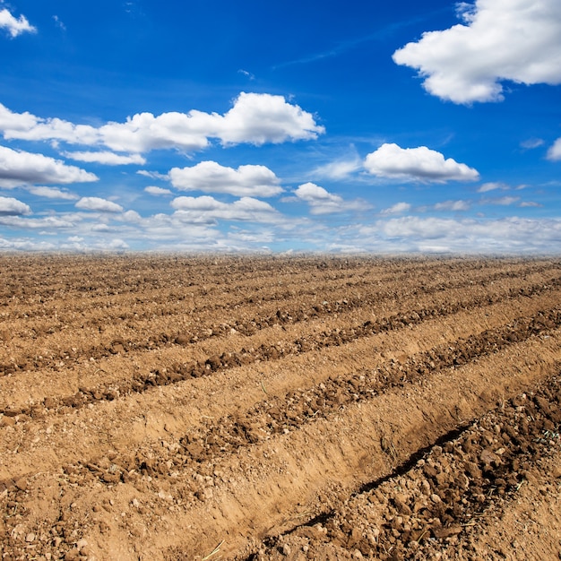 Preparazione del terreno per la coltivazione di verdure con cielo blu