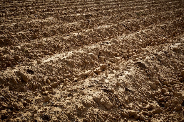 Preparazione del terreno per la coltivazione