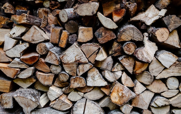 Preparazione della legna da ardere per l'inverno, pile di legna da ardere nella foresta. Mucchio di legna da ardere.