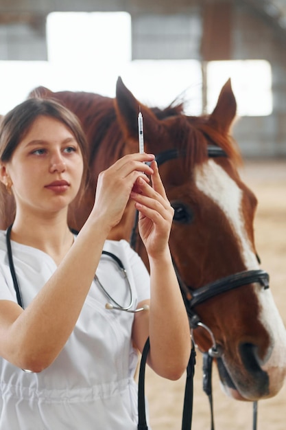 Preparazione della siringa per una puntura Il medico femminile in camice bianco è con il cavallo su una stalla