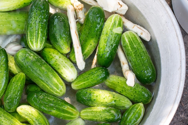 Preparazione di cetrioli in scatola o cetrioli fermentati in vasetti di vetro. Ingredienti per marinare i cetrioli. Cetrioli, aneto, aglio. Barattoli di vetro con sottaceti.