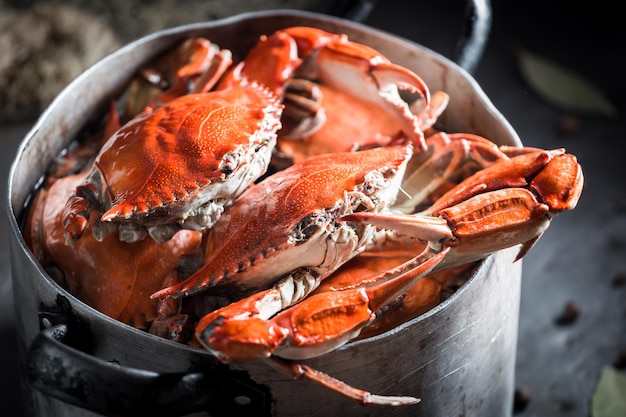 Preparazione per granchio fatto in casa con pimento e alloro