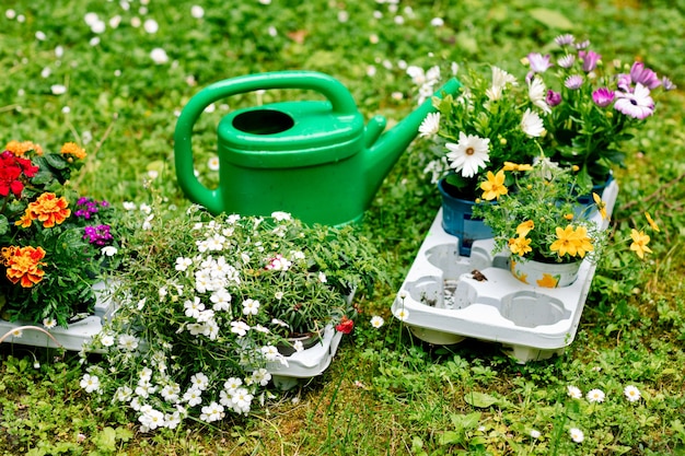 Preparazione prima di trapiantare fiori sul balcone, annaffiatoio e piantine.