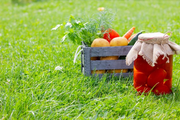 Preparazioni vegetali fatte in casa in un barattolo di vetro e un cesto di vimini sull'erba