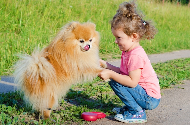 Preschooler kid girl training, giocando con il cane all'aperto. Bambino felice che insegna obbedienza allo spitz. bambino che cammina con animali domestici.