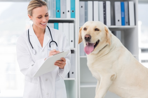 Prescrizione veterinaria per cani