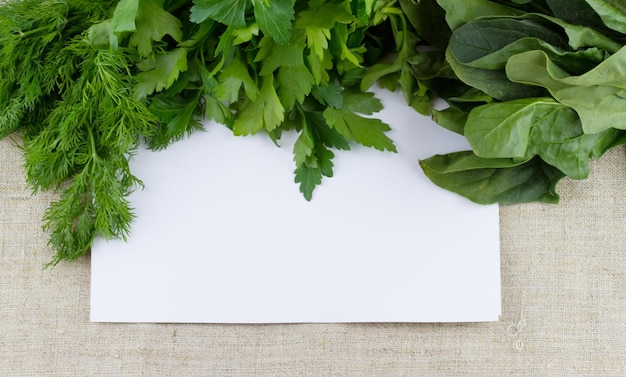 Prezzemolo e spinaci su un foglio di carta bianco