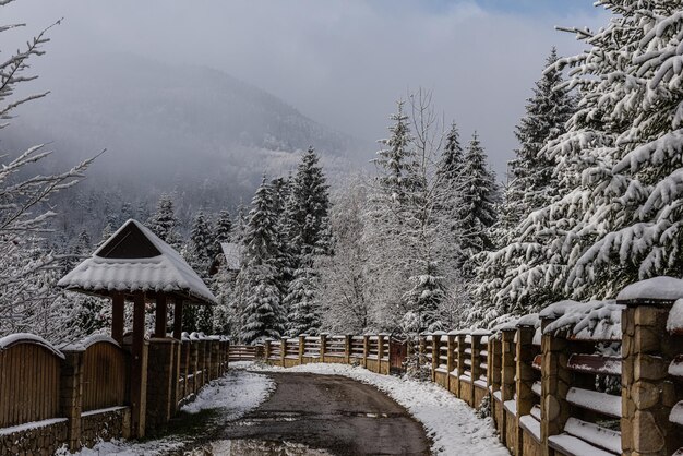 Prima neve in montagna