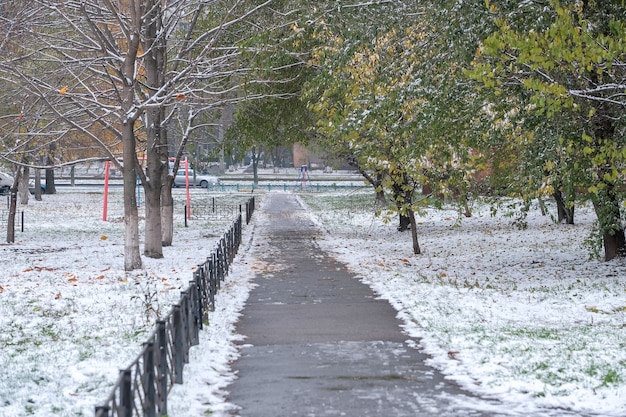 prima neve sulle foglie verdi