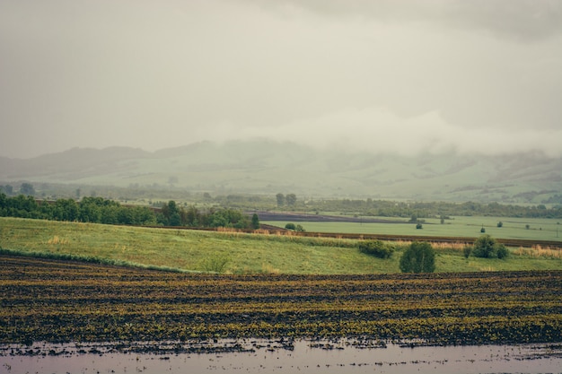 Primavera campi verdi con colture piantate tra le colline.