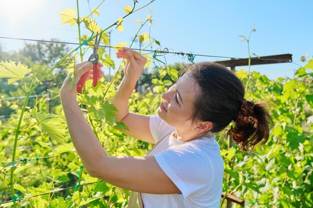 Primavera estate lavoro in vigna donna con cesoie che fanno la potatura dell'uva