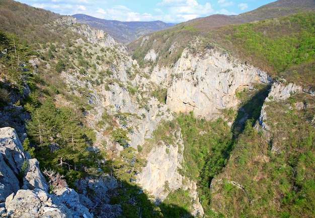 Primavera Great Crimea Canyon Mountain View e alberi di pino sul pendio (Crimea, Ucraina).