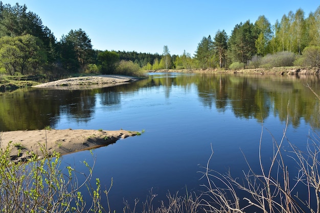 Primavera Il fiume nel Parco nazionale Ryazan Meschera