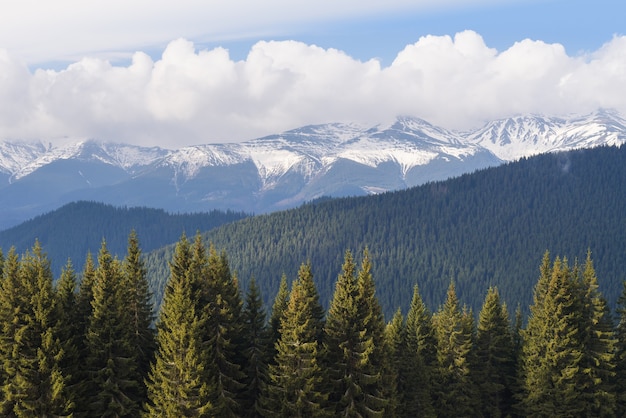 Primavera in montagna. Paesaggio con l'ultima neve che si scioglie sulla cresta. Giornata di sole con nubi cumuliformi