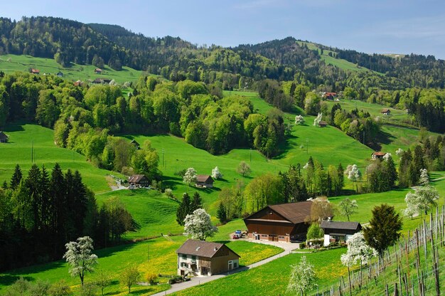 Primavera nel cantone di Svitto Svizzera