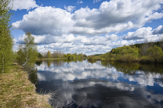 Primavera nel parco nazionale della Russia centrale