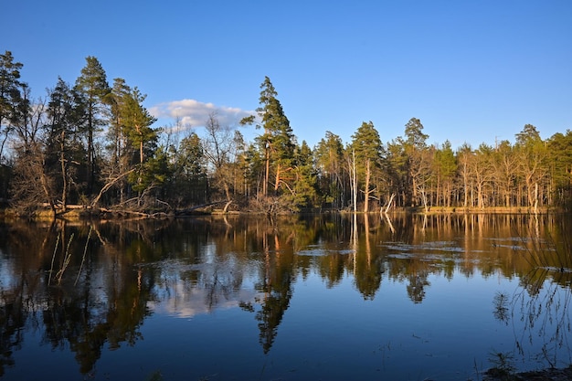 Primavera nel parco nazionale della Russia centrale