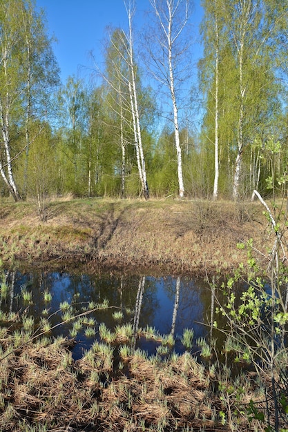 Primavera nel Parco Nazionale