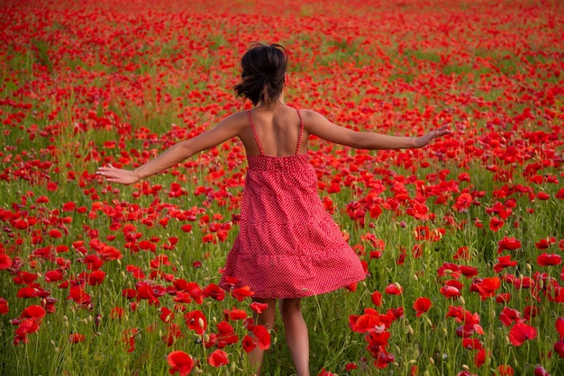 Primavera spensierata, campo di papaveri. Donna nel raccolto dei fiori. Giorno del ricordo e Anzac.