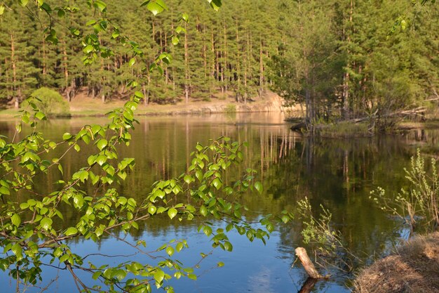 Primavera sul fiume