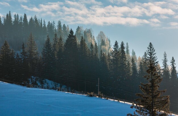 Primi raggi di sole sulle cime degli abeti sul pendio della montagna invernale di alba