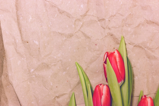 Primi tulipani rosa su uno sfondo di carta beige