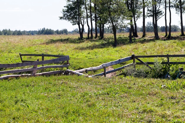 Primitivo ponte autocostruito sul fosso e ruscello del villaggio, estate