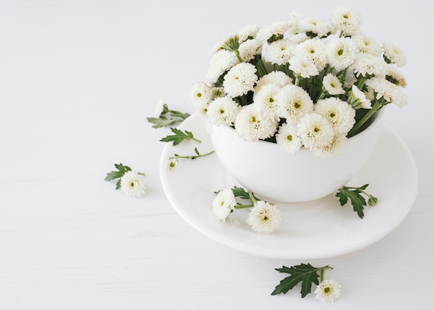 Primo piano dei crisantemi bianchi in una tazza bianca