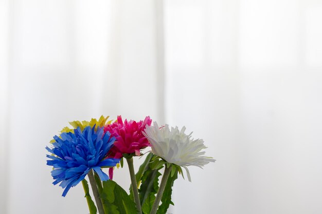 Primo piano dei fiori che sbocciano all'aperto