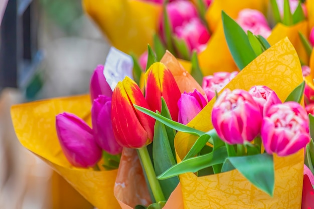 Primo piano dei mazzi di fiori del tulipano