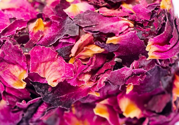 Primo piano dei petali di rosa del tè