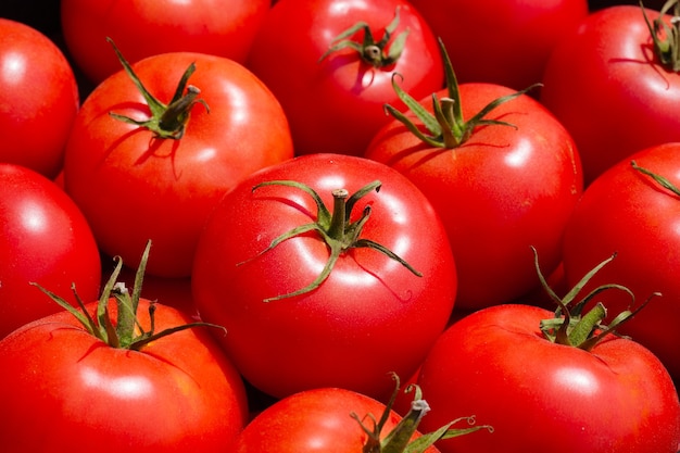 Primo piano dei pomodori maturi rossi pastosi