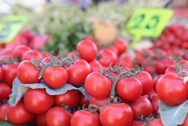Primo piano dei pomodorini maturi rossi sul ramo verde al mercato che raccoglie e vende le verdure