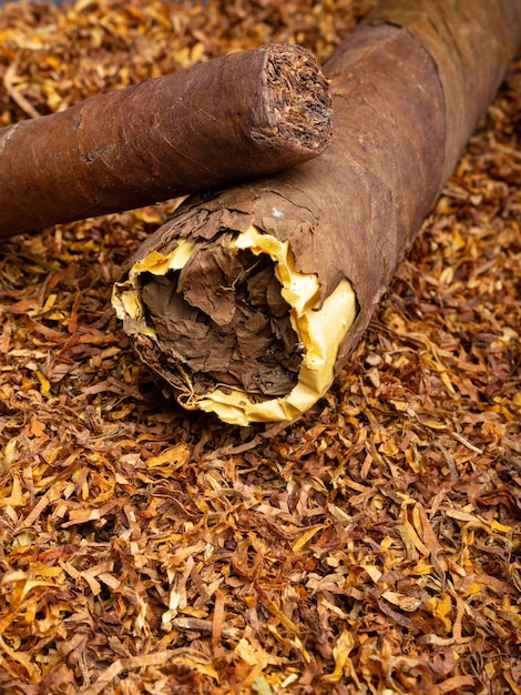 Primo piano dei sigari marroni dell'Avana su sfondo di tabacco