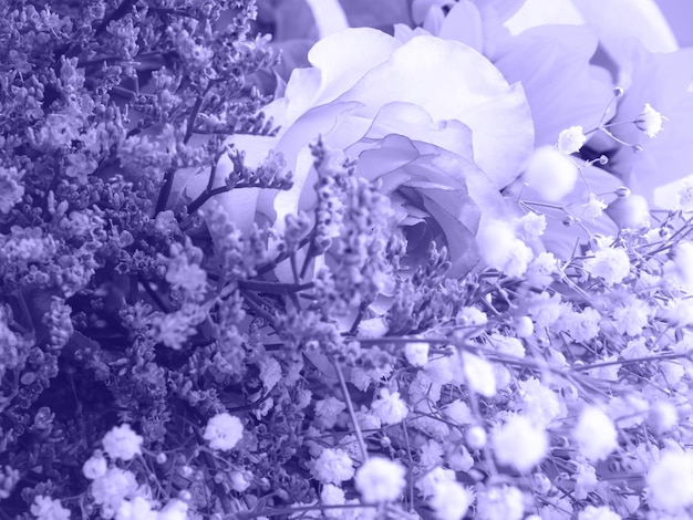 Primo piano del bellissimo bouquet primaverile dai toni viola Rose piccoli fiori