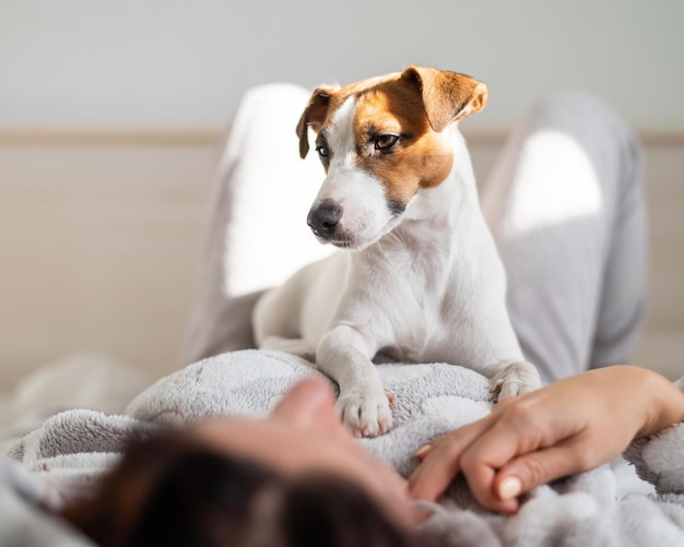 Primo piano del cane che distoglie lo sguardo
