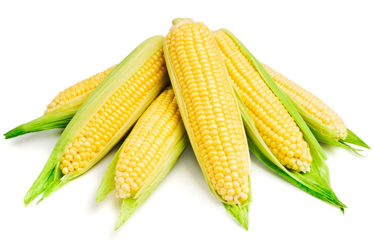 primo piano del cereale su bianco