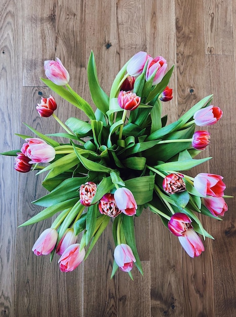Primo piano del fiore rosa