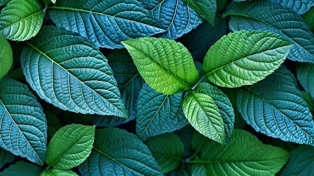 primo piano del fogliame verde