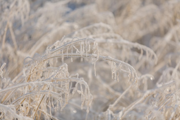 Primo piano del fondo di natale di strutture dei modelli della neve