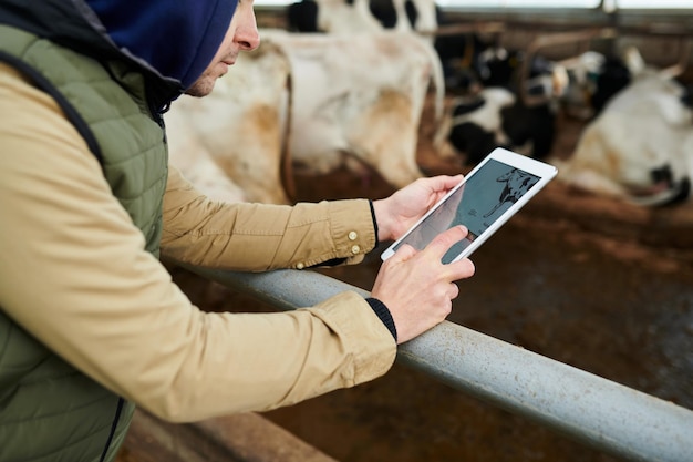 Primo piano del giovane lavoratore di sesso maschile di allevamento di mucche con tavoletta digitale