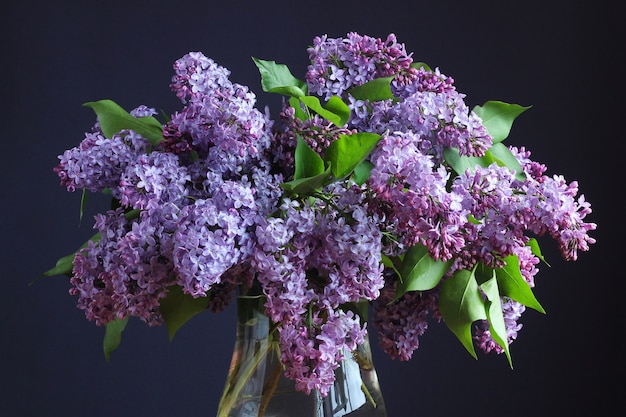 Primo piano del mazzo lilla viola su uno sfondo scuro naturale sfondo floreale fiori da giardino