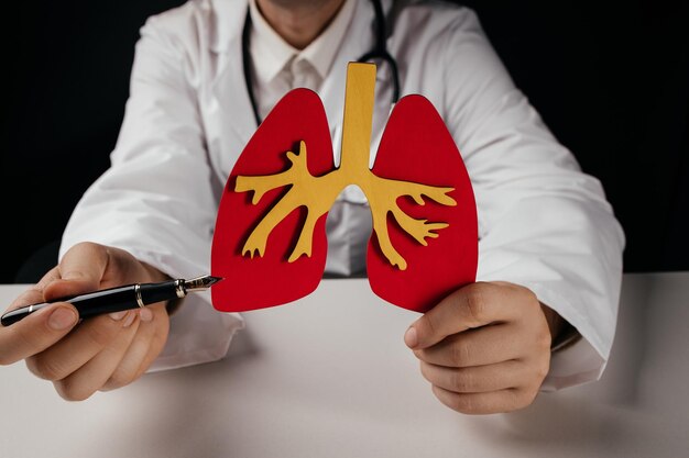 Primo piano del modello dell'organo polmonare del medico Giornata mondiale della tubercolosi