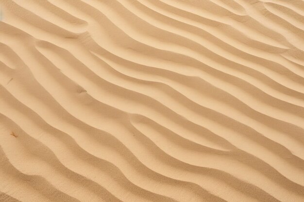 Primo piano del modello di sabbia di una spiaggia in estate